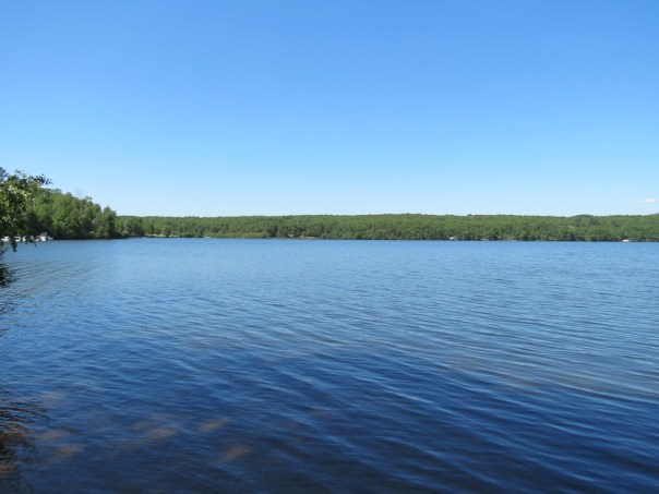 ???????????????????????????????