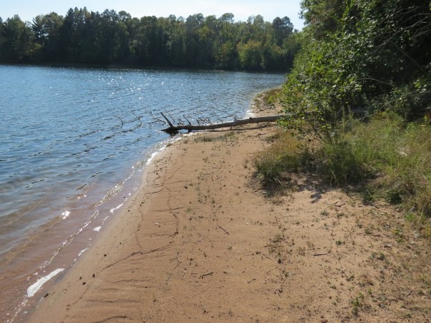 ???????????????????????????????