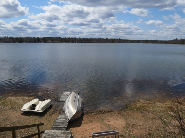 ???????????????????????????????