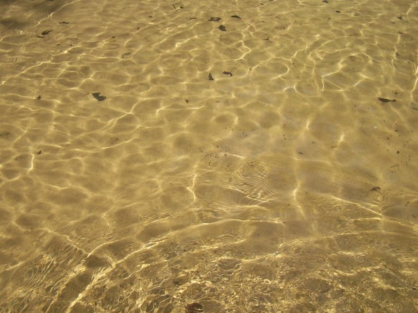 52 May 19 May 25 2009 030