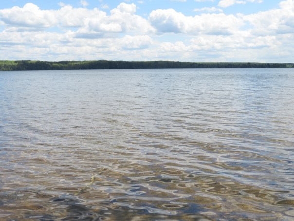 ???????????????????????????????